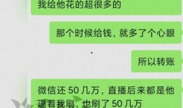 爆料网红离婚事件视频播放,视频播放量惊人，背后真相引人关注